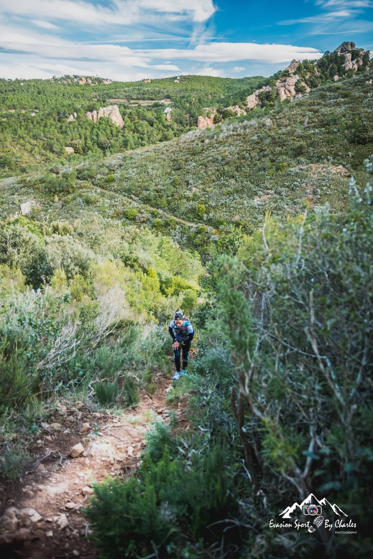 Refonte du site du Trail de Fontfroide
